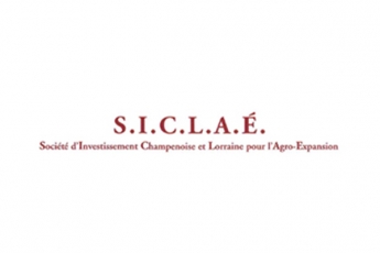 logo siclae