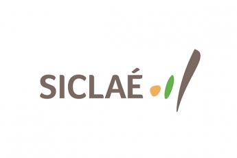 logo siclae